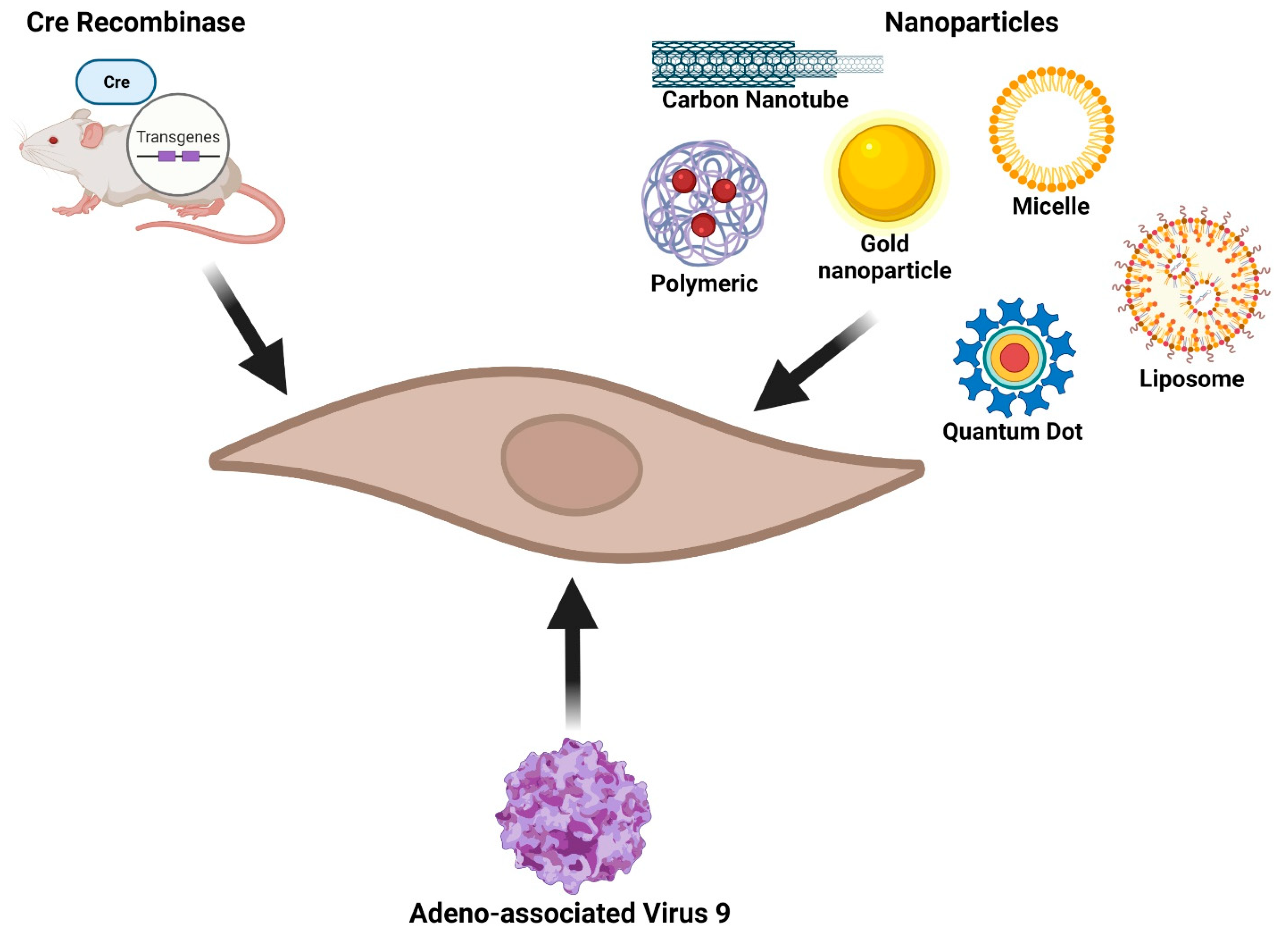Fibroblast-specific approaches