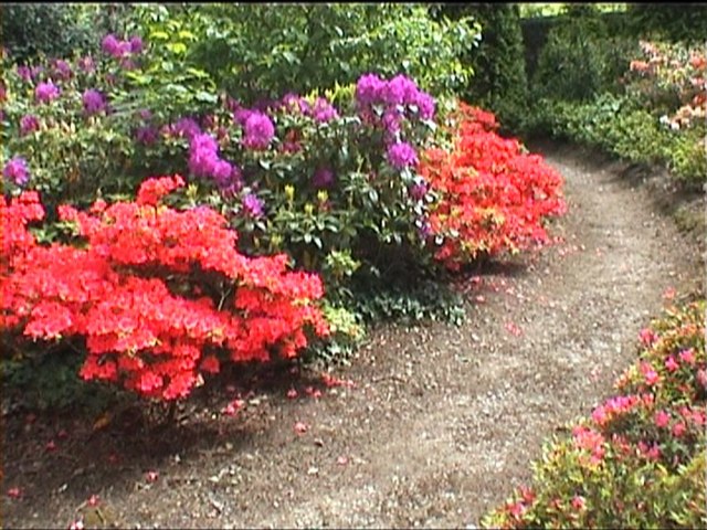 Mount Congreve gardens (supplemental #2)