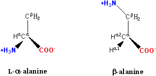 Beta alanine comparison