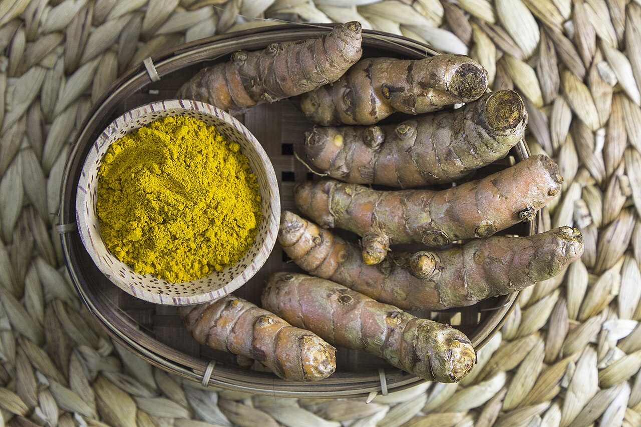 Curcuma Longa as an anti-inflammatory is useful for reducing arthritis symptoms, increasing immune function, reducing cardiovascular complications and can also prevent and treat Al