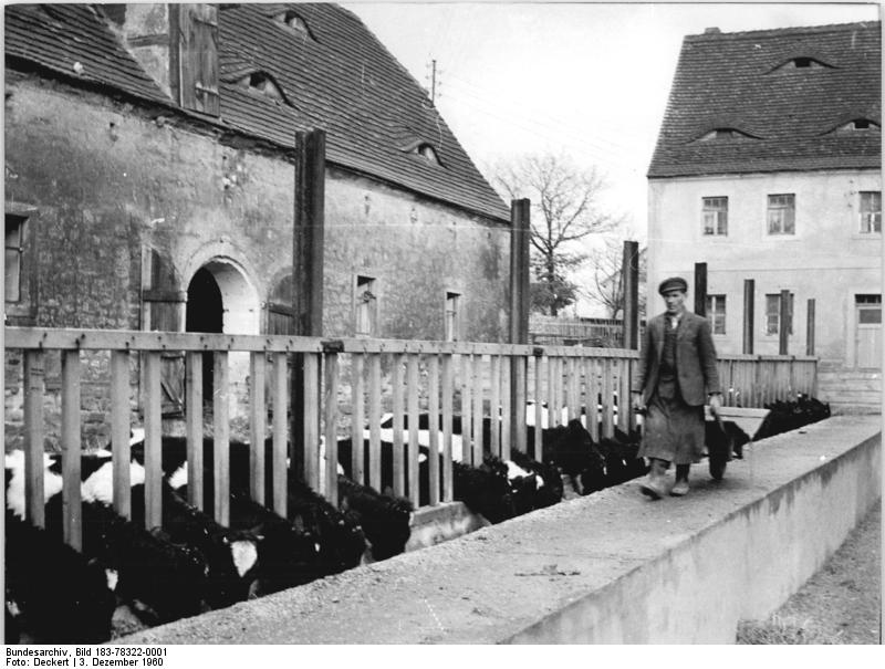 For documentary purposes the German Federal Archive often retained the original image captions , which may be erroneous, biased, obsolete or politically extreme . Pauscha, Bauer vo