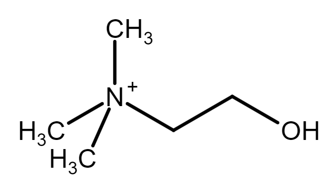 Choline cation molecule