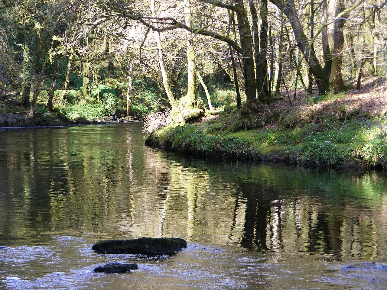 Avonmore River