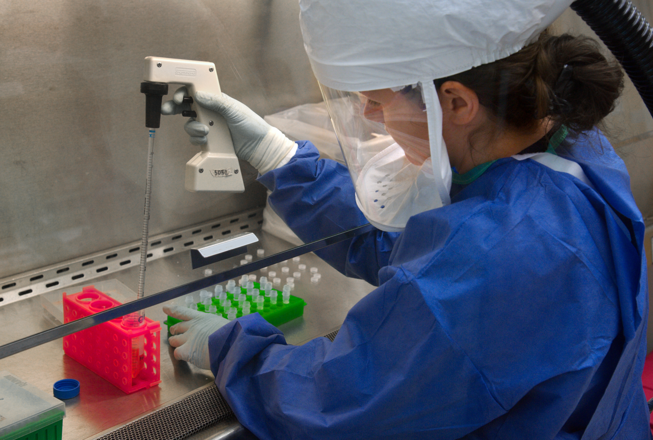 A CDC scientist uses a pipette to transfer H7N9 virus into vials for sharing with partner laboratories for public health research purposes.