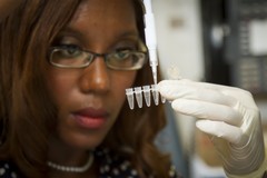Chanelle Case Borden, Ph.D., a postdoctoral fellow in the National Cancer Institute's Experimental Immunology Branch, pipetting DNA samples into a tube for polymerase chain reactio