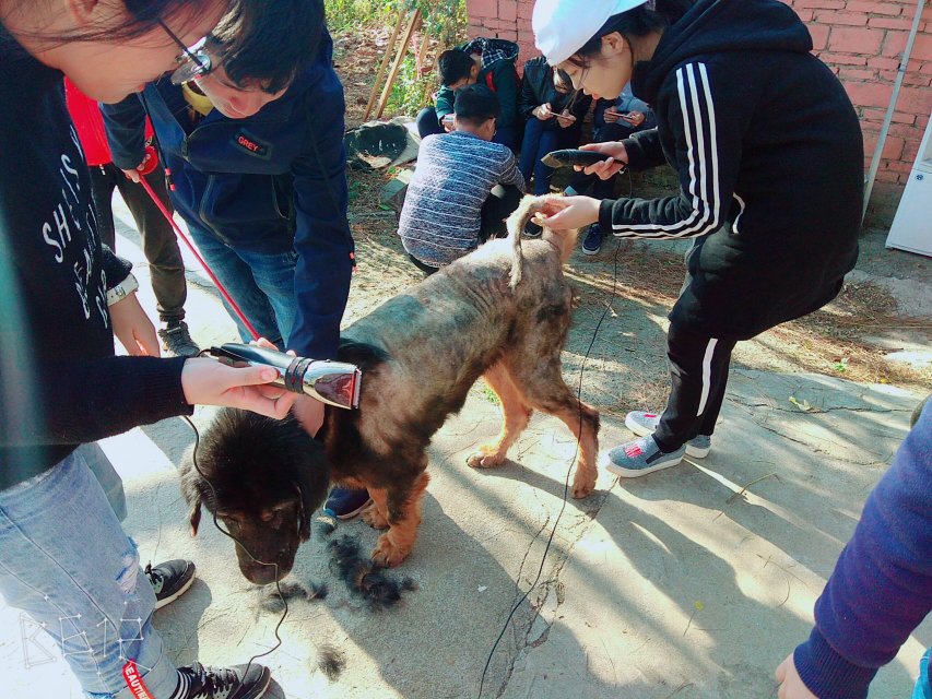 students activity of The High School Attached to Jingxi Normal University Sino-U.S. Program