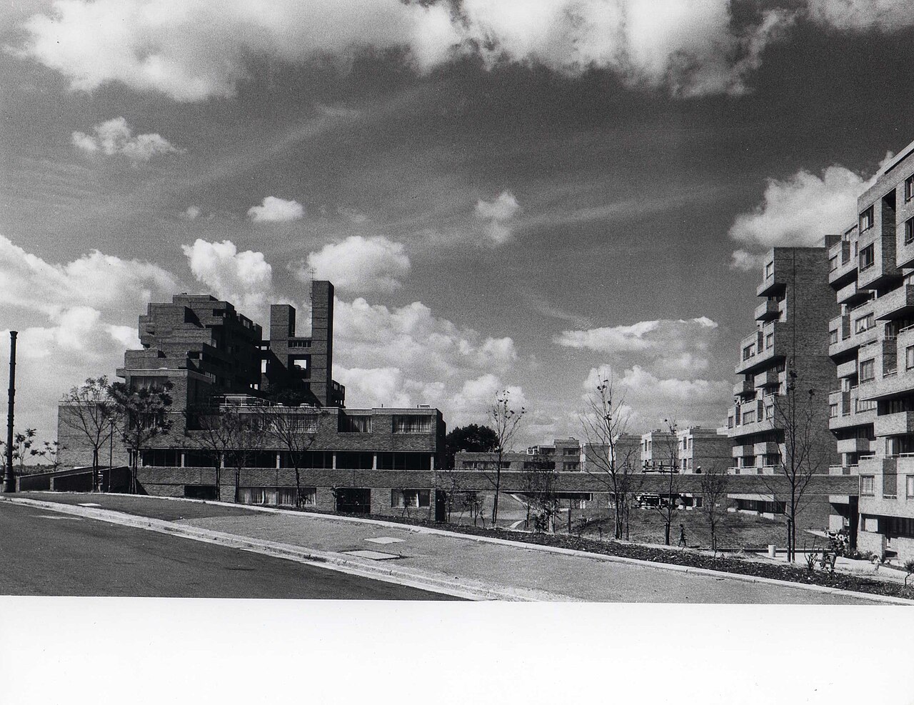 Dawsons Heights, 1973, viewed from Overhill Road. Photographer, Robert Kirkman FSAI.