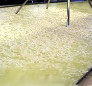 elaboración de la proteína de suero de leche